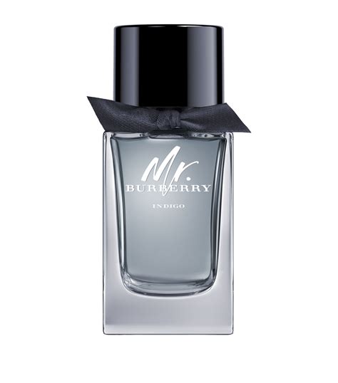 mr burberry indigo edt 100ml|mr burberry eau de toilette.